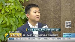 Exclusive interview of Rastar Games on CCTV: promote quality archaistic  games in overseas market, ex